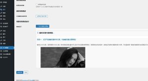 图片[9]-WordPress AI 采集器 使用指北-SEO模板