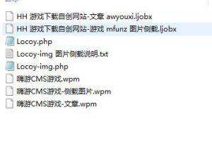 MultiLang LiteGame CMS 嗨游CMS 多语言轻量级游戏下载系统 火车头发布接口-SEO模板
